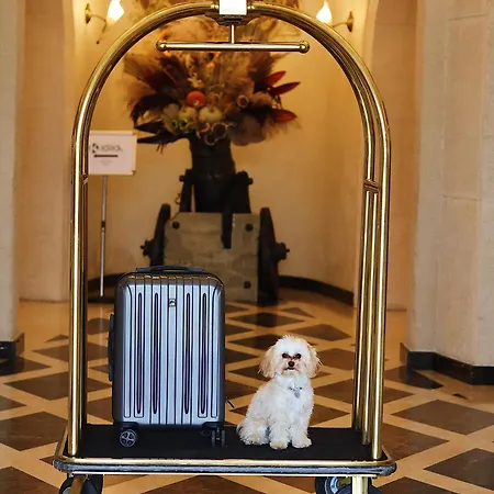 Citadel Gastro Boutique - цитадель Hotel