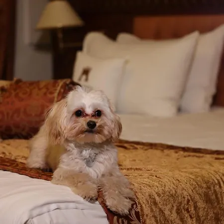 Отель Citadel 5*