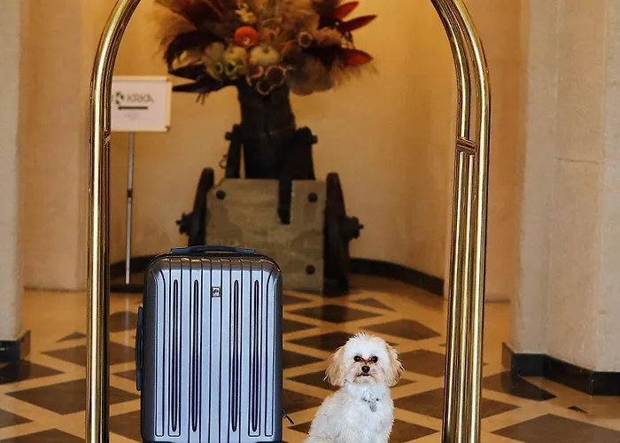 Citadel - Gastro Boutique Hotel- цитадель Hotel